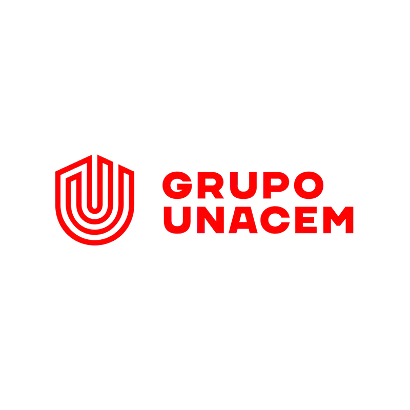 Icono 1